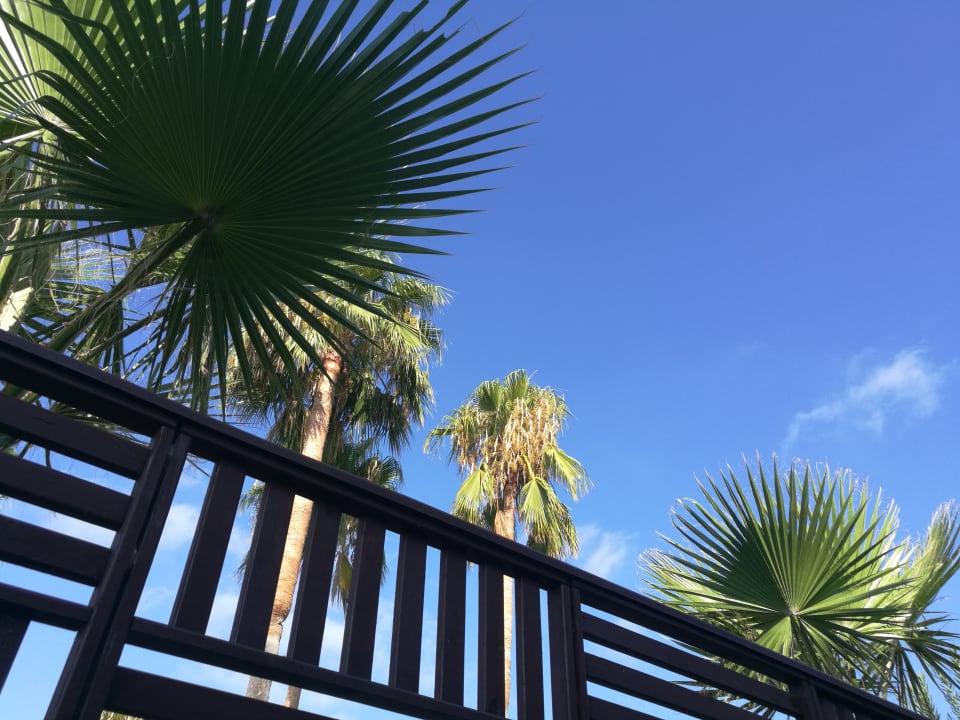 Gastro Oz Hotels Incekum Beach