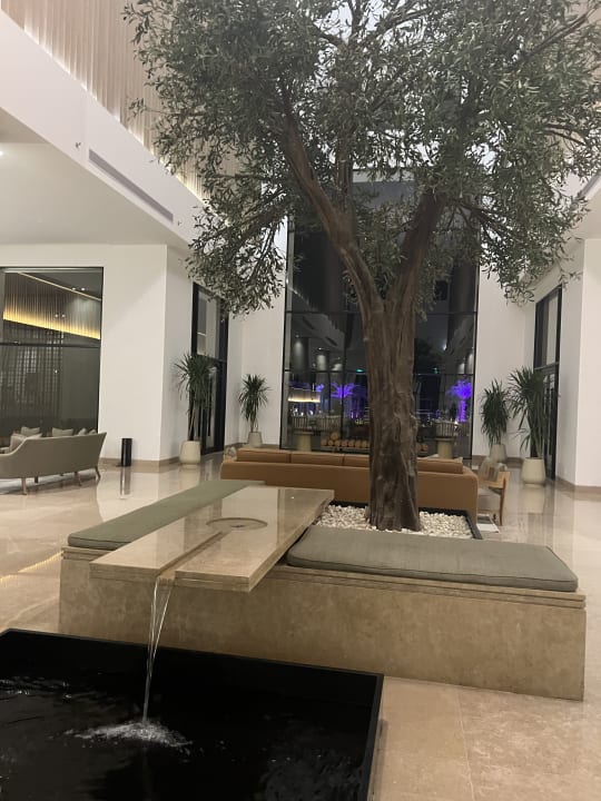 Lobby JAZ Elite Amara