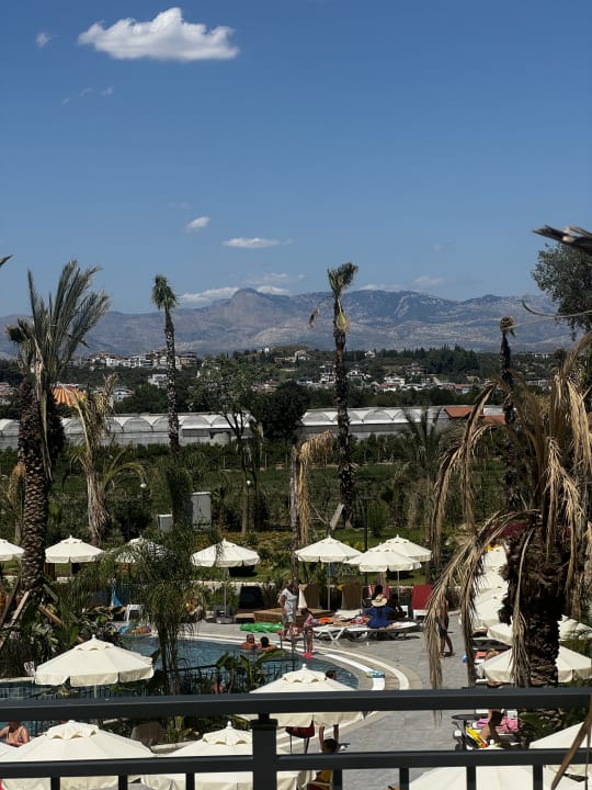 Ausblick Dream Fun World