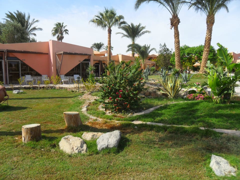 Grün Eagles Paradise Abu Soma