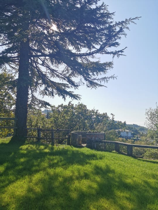 Garten Hotel Bellavista