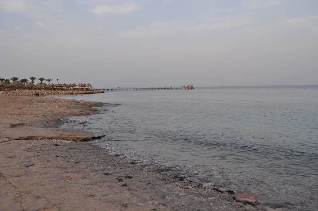 Plaża Parrotel Aqua Park Resort