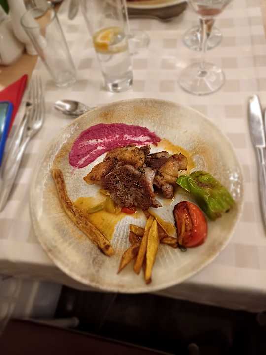 Gastro Seashell Vega