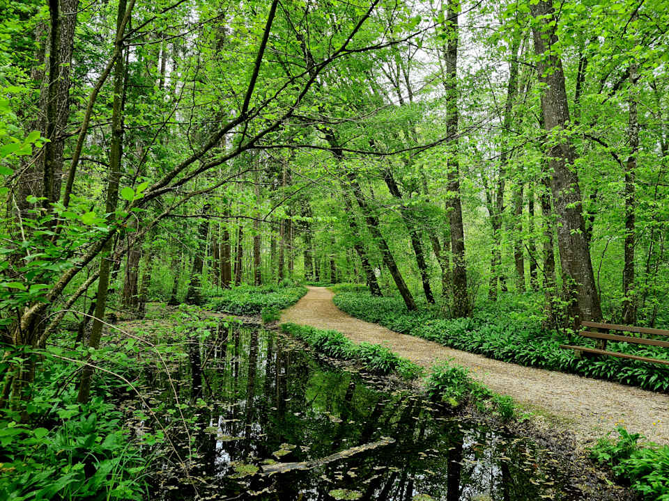 Sonstiges Hotel Zur Klause