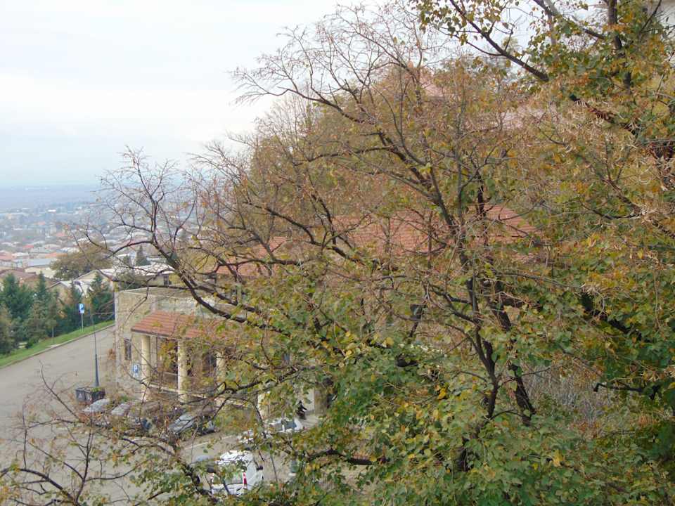Ausblick Holiday Inn Telavi