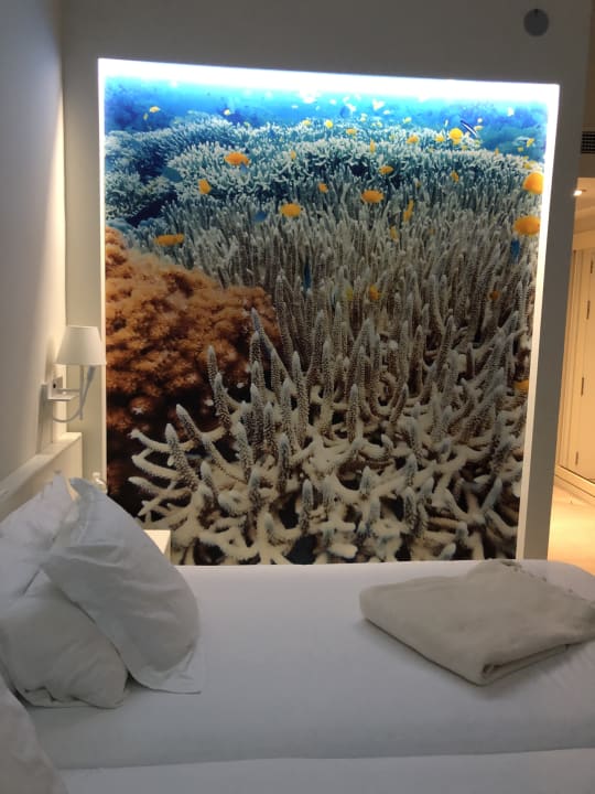 Zimmer Iberostar Selection Fuerteventura Palace