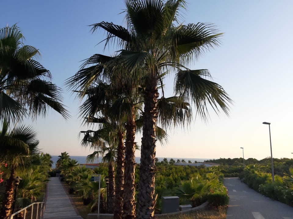 Strand Alba Resort Hotel