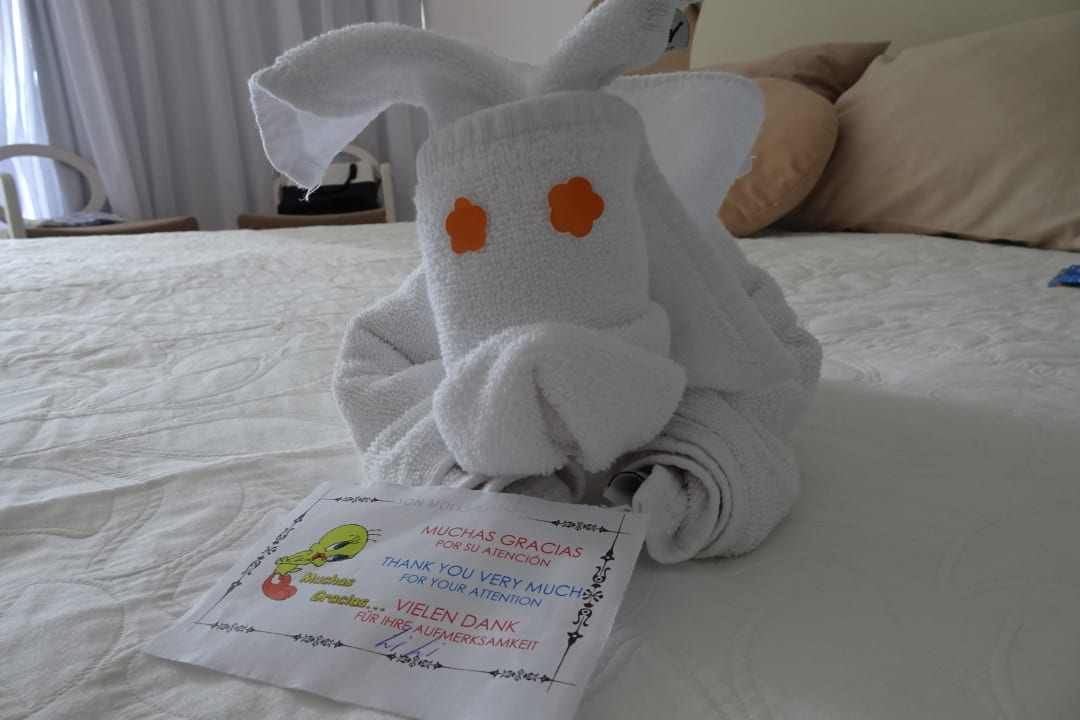 Zimmer Son Moll Sentits Hotel & Spa