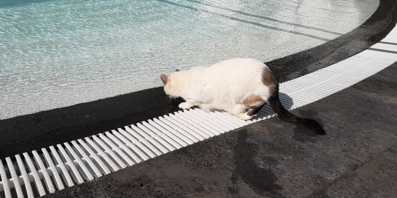 Pool Hipotels La Geria