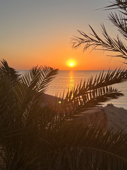 Ausblick Steigenberger Coraya Beach - Adults only