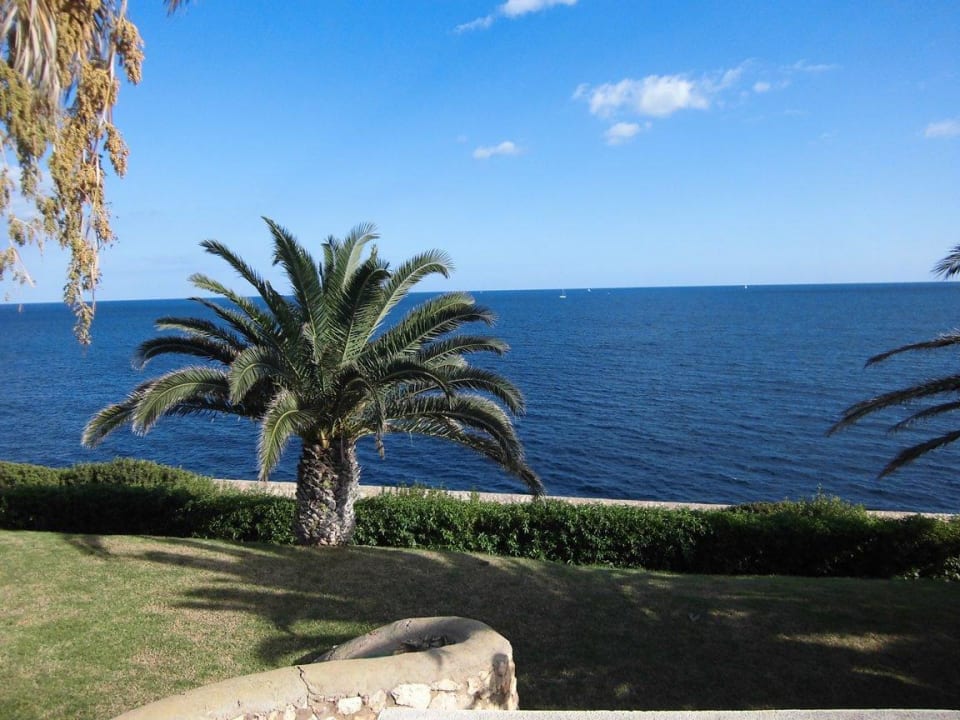 Meerblick aus Zimmer blau punta reina