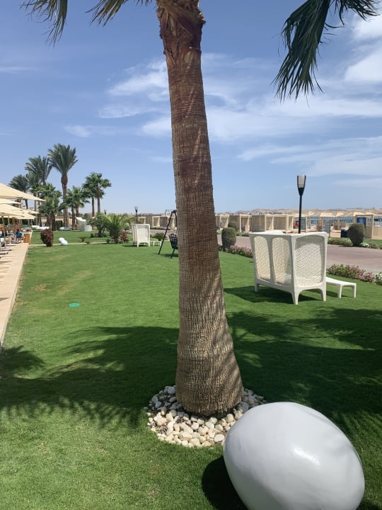 Außenansicht Premier Le Reve Hotel & Spa