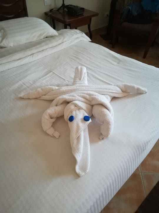 Zimmer Hotel Three Corners Ocean View prestige - Adults only