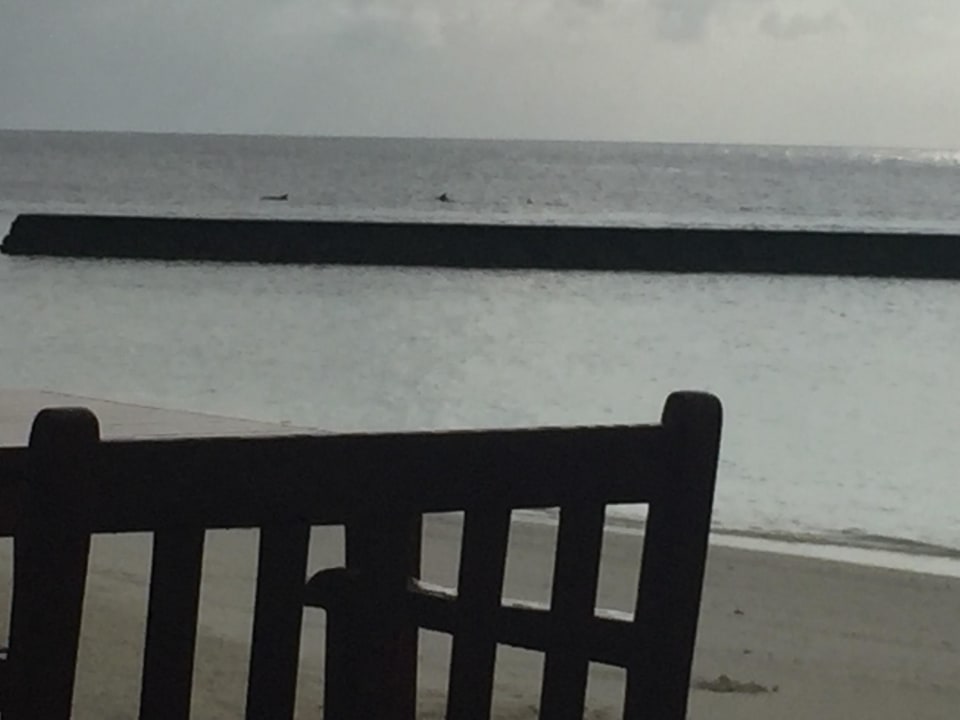 Delfine Veligandu Maldives Resort Island