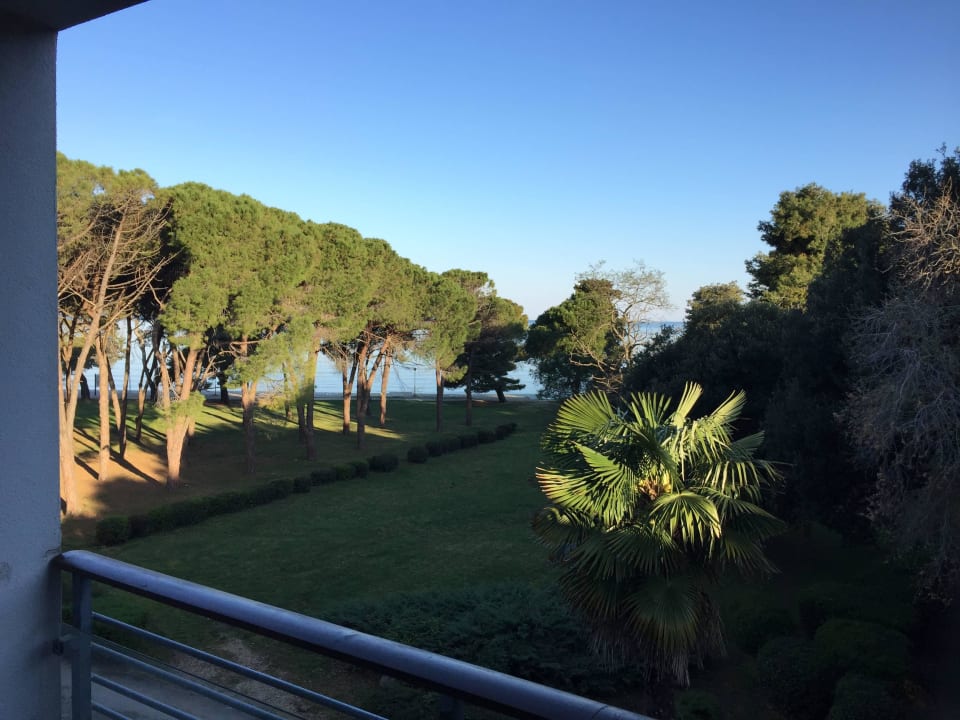 View from the room Falkensteiner Hotel Adriana