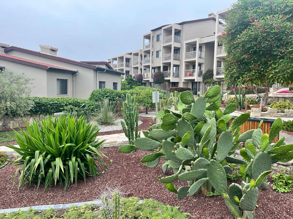 Gartenanlage Arum Barut Collection