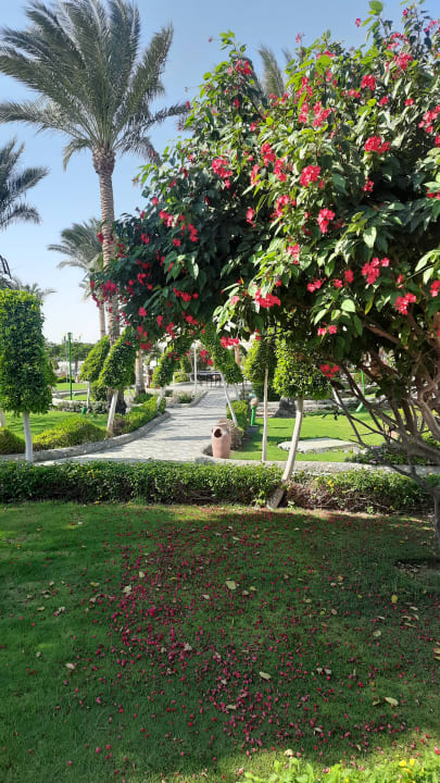 Außenansicht Akassia Swiss Resort