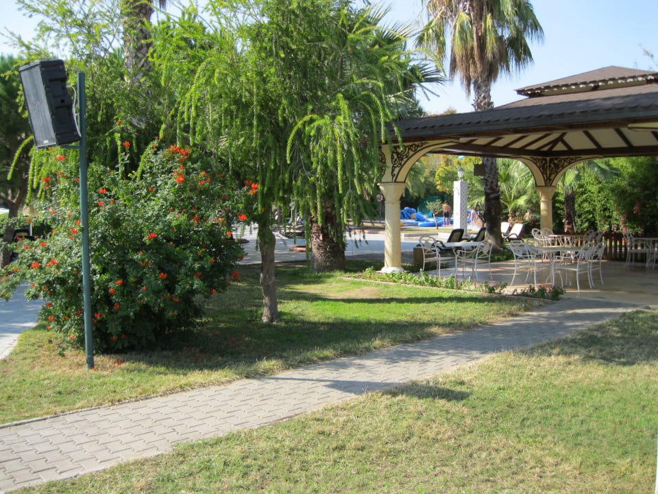 Restaurant Ali Bey Club