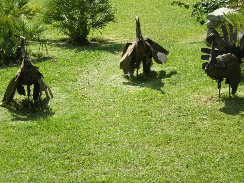 Hotelgarten VIVA Cala Mesquida Suites & Spa 16+