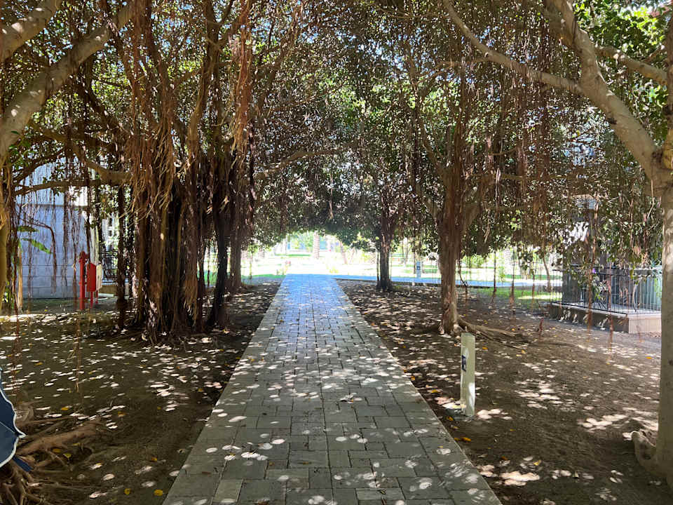 Gartenanlage TUI BLUE Palm Garden