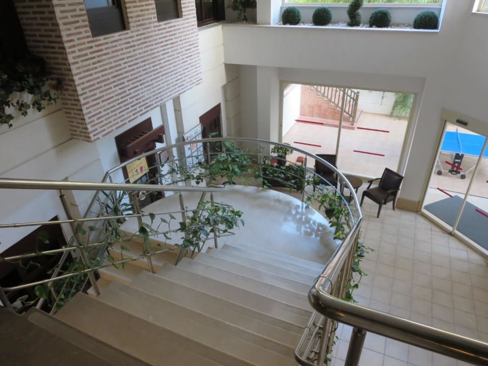 Treppe Trendy Palm Beach (Adults Only, 16+)