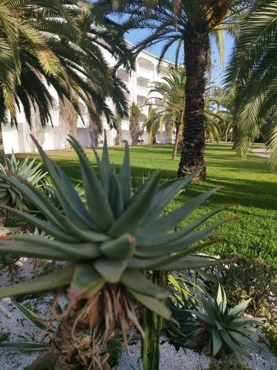 Außenansicht Oceana Hotel & Spa