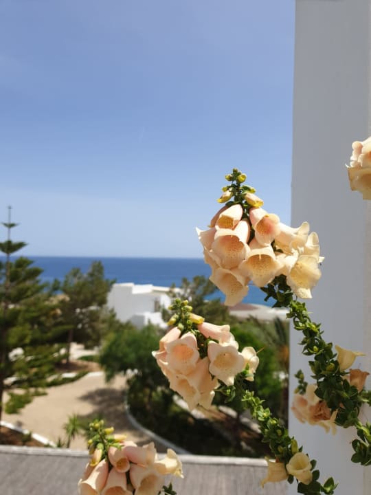 Ausblick Hotel Kakkos Bay