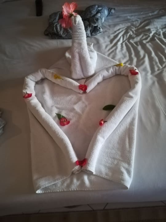 Zimmer Jaz Makadi Oasis Resort