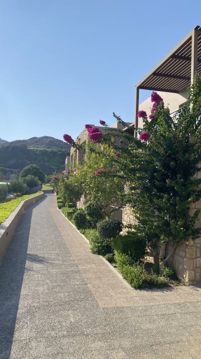 Gartenanlage Blue Lagoon Village