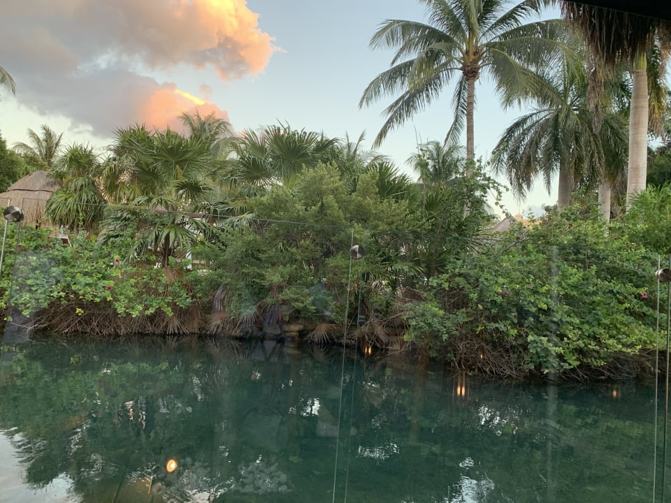 Ausblick TRS Yucatan Hotel - Adults only