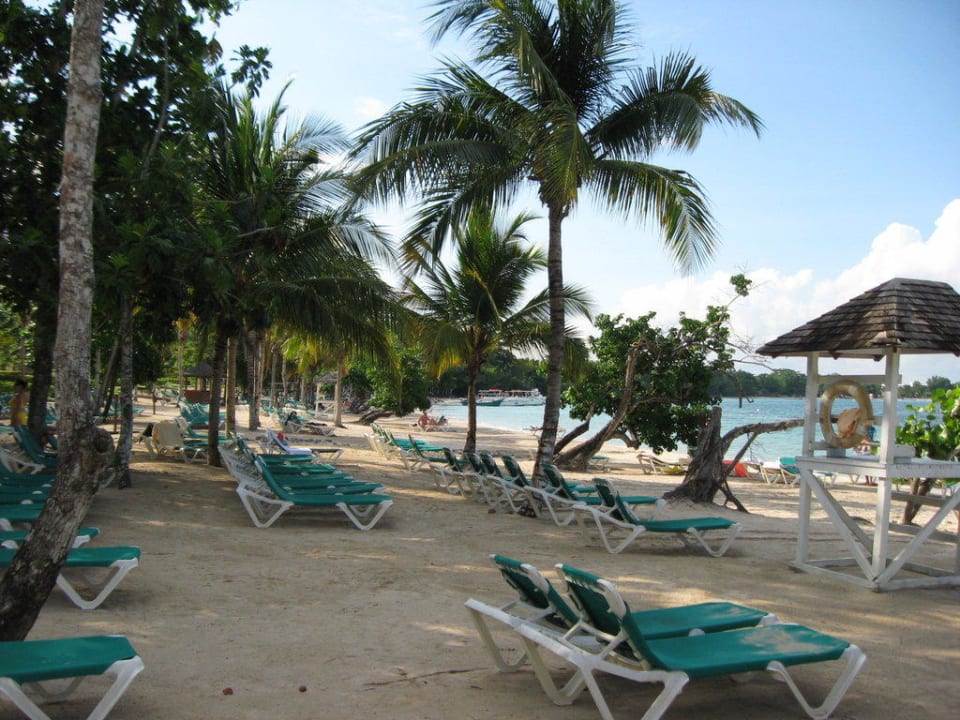 Strand mit Palmen Hotel Riu Negril