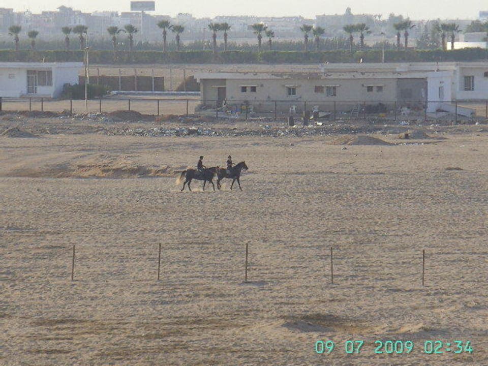 Zimmer-Aussicht Beach Albatros Resort