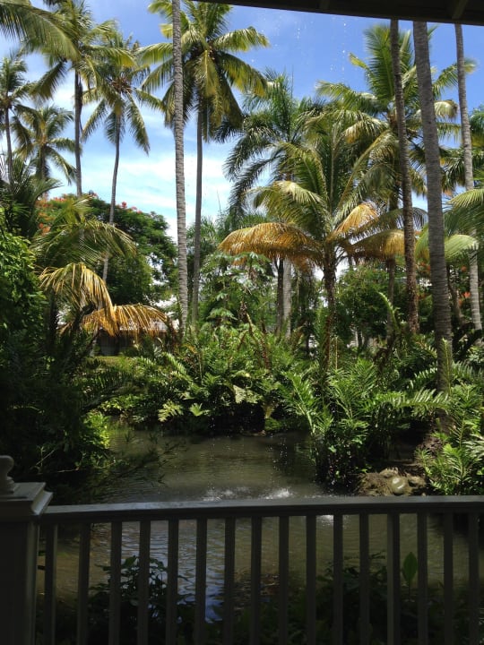 Aussicht vor der Lobby Grand Palladium Punta Cana Resort & Spa
