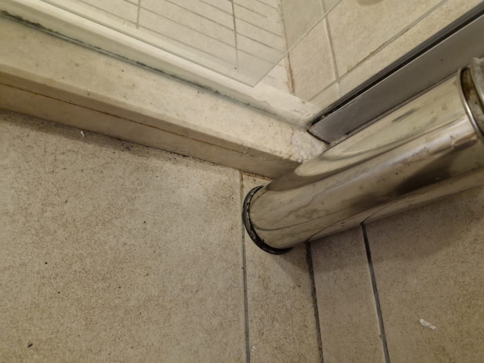 Zimmer Well Palace Side