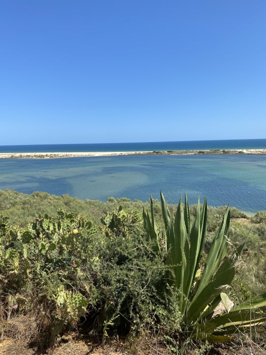 Ausblick ROBINSON QUINTA DA RIA