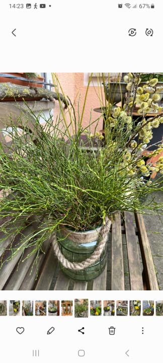 Außenansicht Gästehaus Schulz