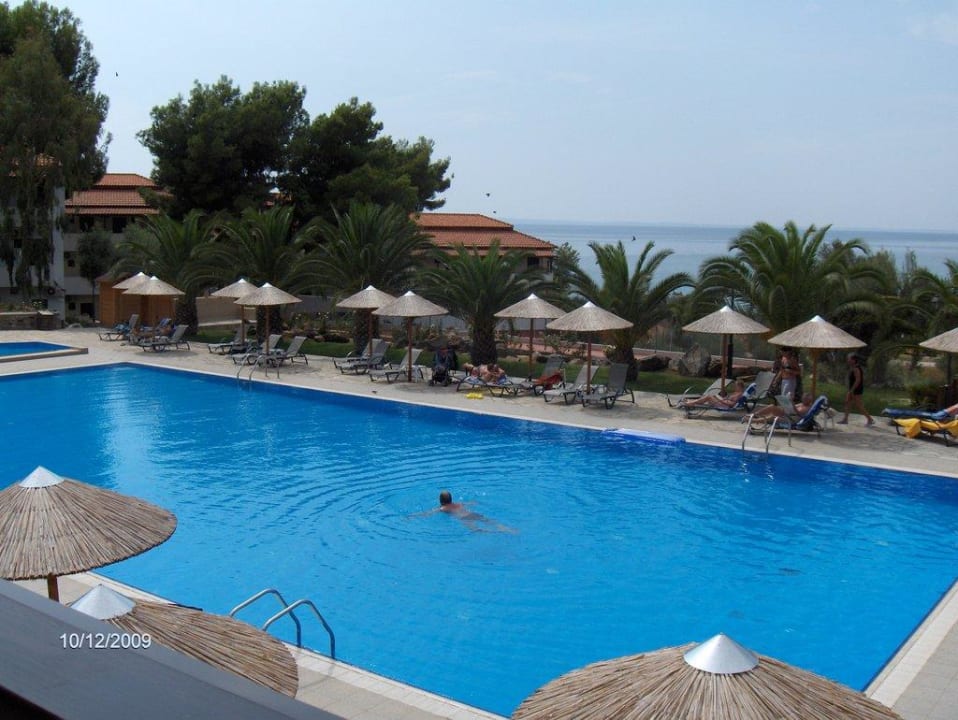 Poolanlage Blue Dolphin Resort Hotel