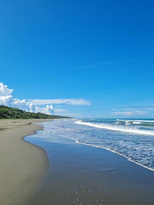 Strand Hotel Caribbean Coconut