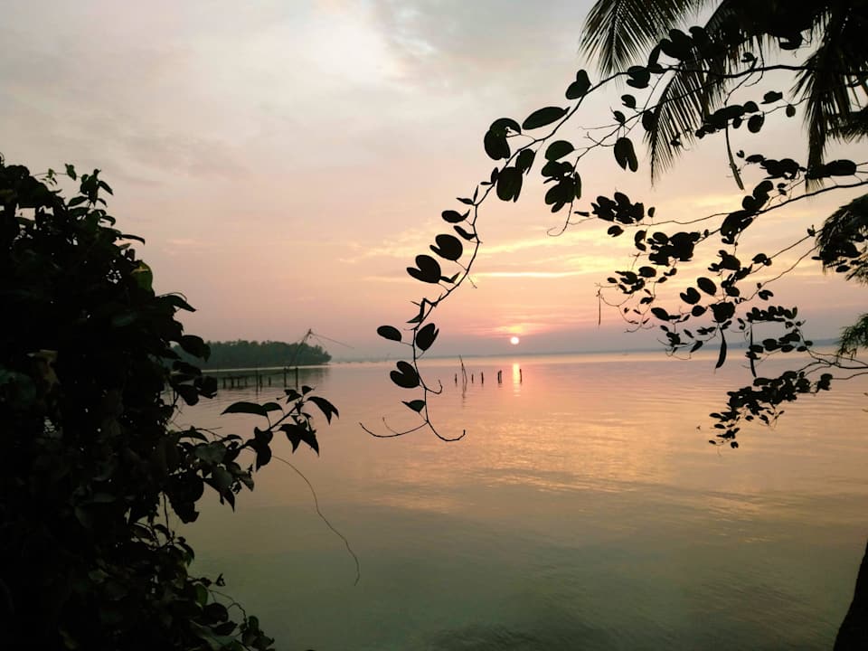 Ausblick auf Ashtamudi See Ashirvad Ayurveda Homestay