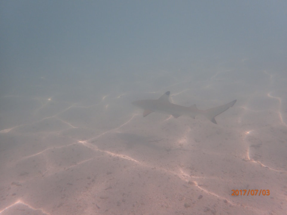 Sport & Freizeit Embudu Village