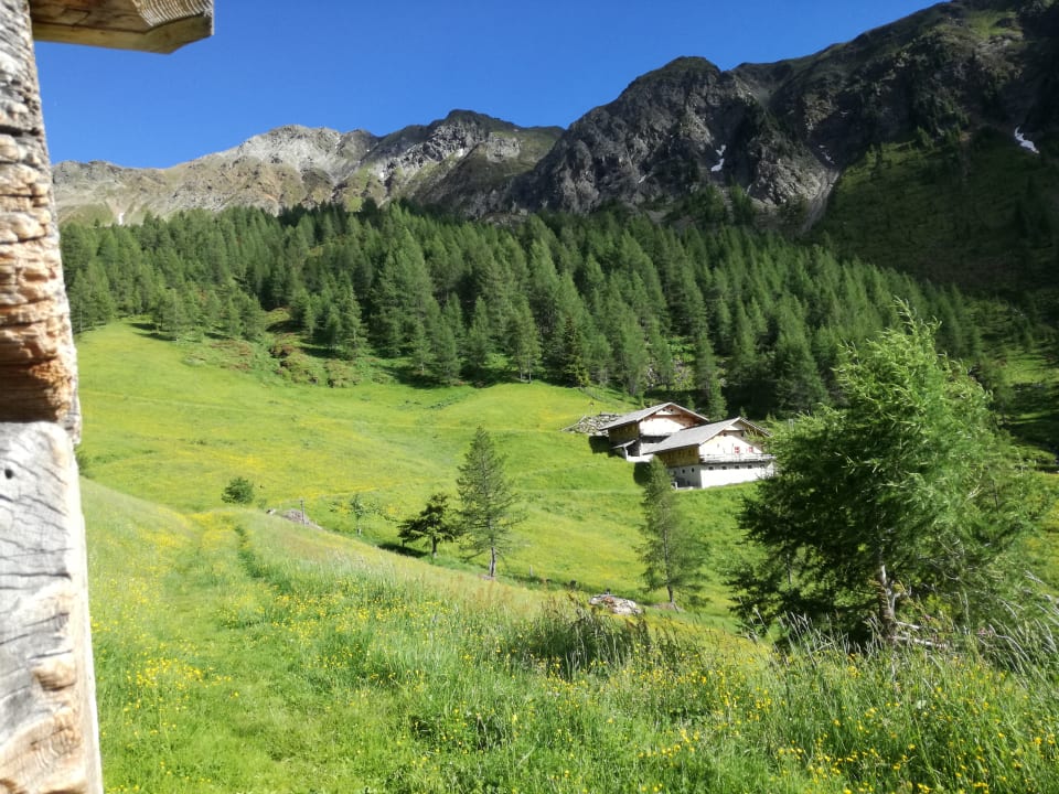Sonstiges Feldererhof - Urlaub am Bauernhof
