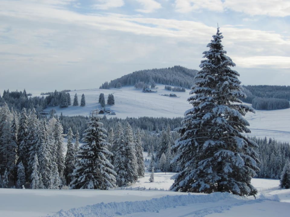 Vorm Hotel Almwellness Hotel Pierer