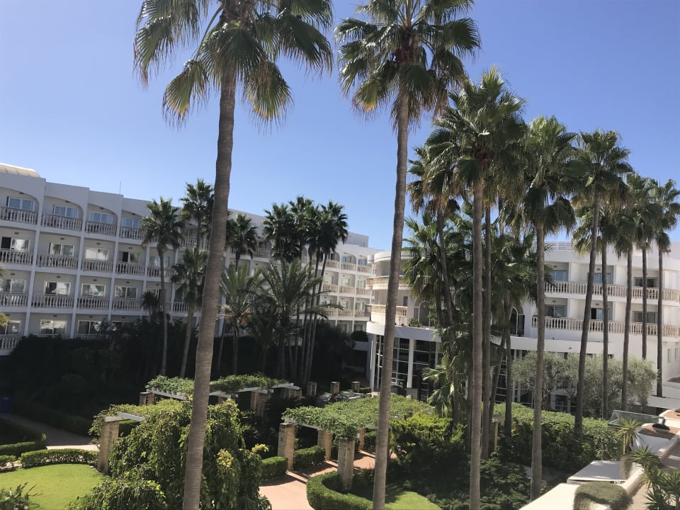 Ausblick Iberostar Selection Albufera Park
