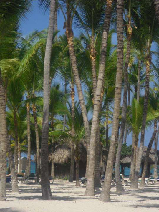 Massagehütten am strand Hotel Riu Bambu