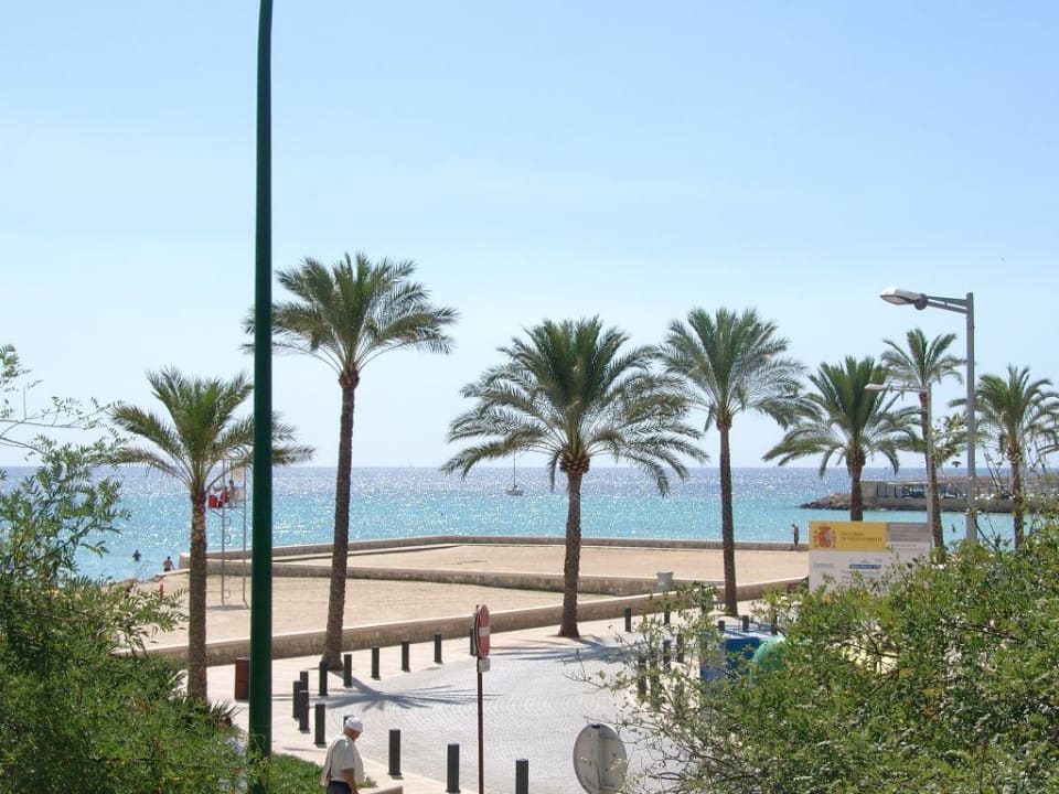 Views from the room 508 Hotel Amic Miraflores