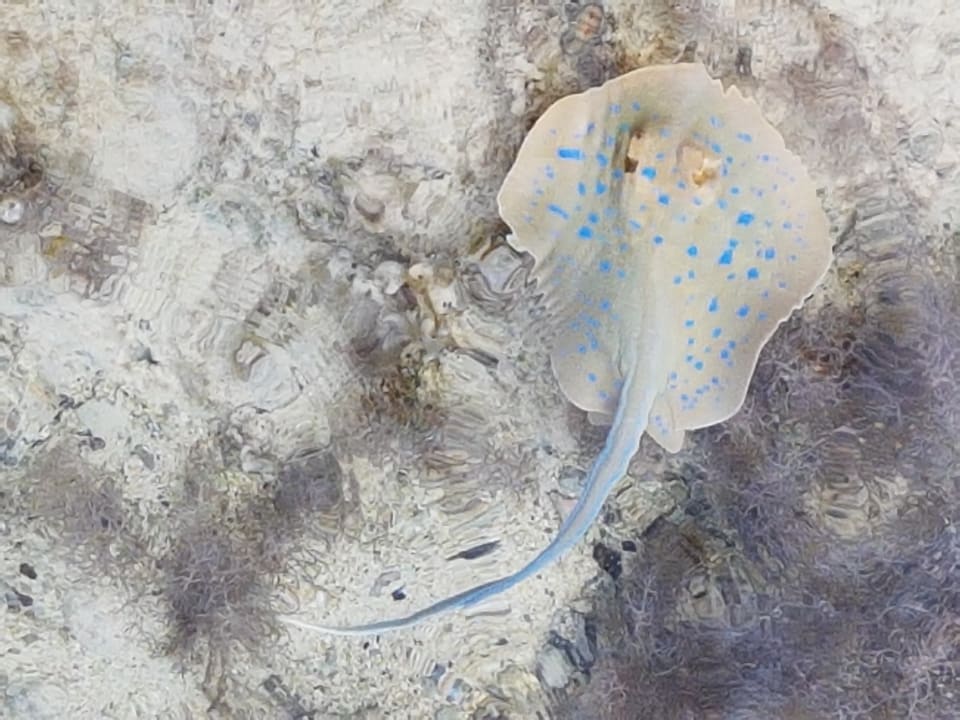 Außenansicht Three Corners Equinox Beach Resort