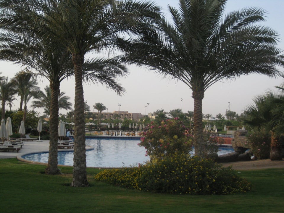 Территория Steigenberger ALDAU Beach Hotel