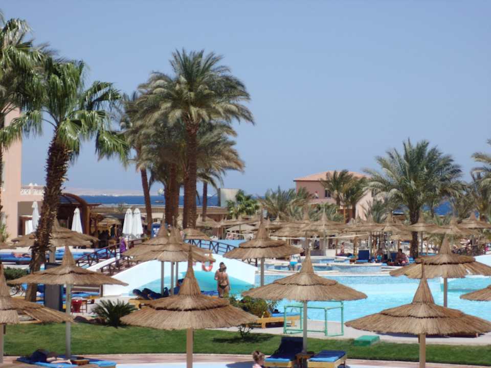 Aussicht von Zimmer 2002 Beach Albatros Resort