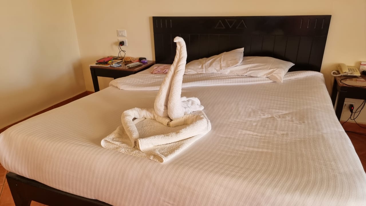 Zimmer Three Corners Sea Beach Resort