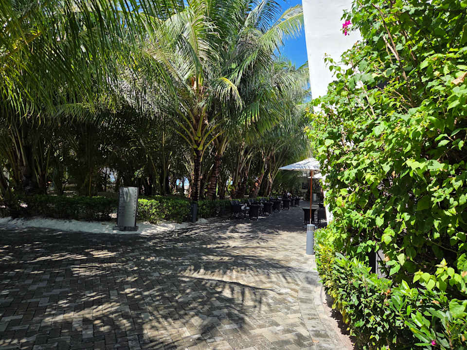 Gartenanlage Hotel Riu Atoll